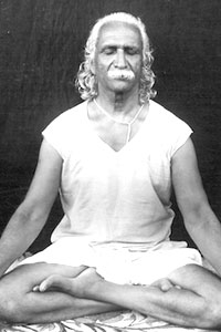 Swami Kavalayananda ji